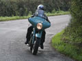 Autumn Run