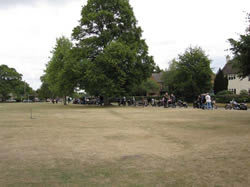 Around The Green At Evenly
