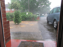 Rain