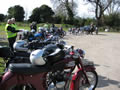 Spring Run & AGM
